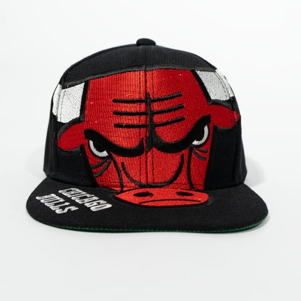 Gorra Logo CHICAGO BULLS